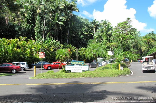 20091104_105853  G11f.jpg - Hawaii Botanical Gardens, North of Hilo